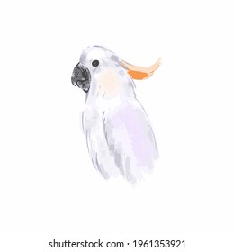 Colorful cockatoo parrot isolated on white. Vector hand drawn  illustration 