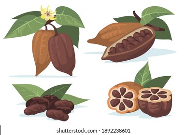 Colorful Cocoa Beans Flat Illustration Set. Cartoon Chocolate Beans From Cocoa Tree With Leaves Isolated Vector Illustration Collection. Plantation And Cacao Plant Concept