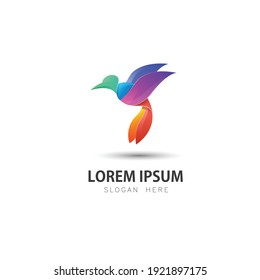 Plantilla de logotipo de ilustración de Colibri Colorido