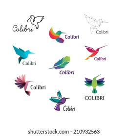 Colorful Colibri. Hummingbirds Logo