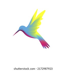 colorful colibri silhouette. Design bird colibri for symbol company. Logo design bird. vector illustration