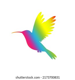 Colorful colibri silhouette. Design bird colibri for logo company. hummingbird silhouette. Design sign hummingbird. vector illustration