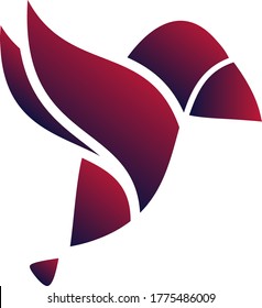 Colorful colibri vector for logo or as background image