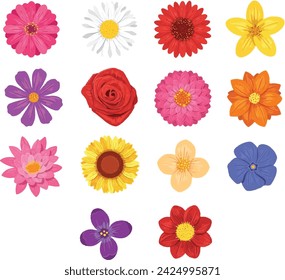 Colorful collage of flowers on isolated background