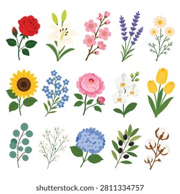 Colorful collection of beautiful flowers featuring rose, lily, cherry blossom, lavender, daisy, sunflower, forget me not, peony, orchid, tulip, eucalyptus, baby's breath, hydrangea, olive branch, and cotton flower in flat illustration style. Perfect for botanical, floral, wedding, spring, greeting cards, and decorative designs.