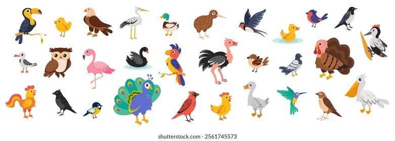 Colorful collection of cartoon birds in various poses and activities