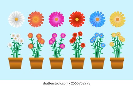 A colorful collection of daisy flowers in elegant pots, perfect for nature-themed designs and decorations.