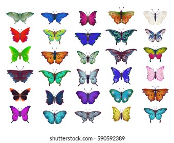 Colorful collection of different butterflies for summer and spring design, insect set, isolated on white background. Handdrawn separated editable elements, Vector illustration.