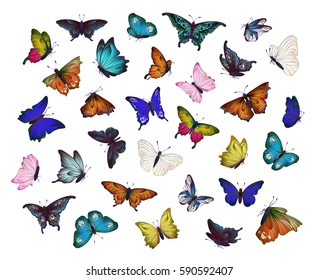 Colorful collection of different butterflies for summer and spring design, insect set, isolated on white background. Handdrawn separated editable elements, Vector illustration.