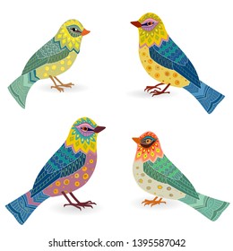 colorful collection of fancy birds for your design
