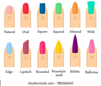 Colorful collection of fingernails with different shape