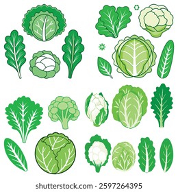 Colorful Collection of Fresh Green Vegetables