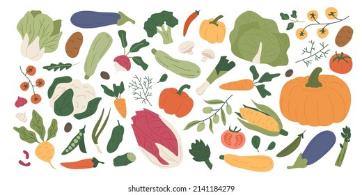 Colorful collection of fresh organic vegetables and edible greens. Set of summer and autumn farm harvest, natural crops, salads, herbs. Healthy vegetarian food. Illustration in flat style.