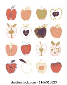 Colorful collection of hand-drawing different apples. Cute hand drawn different apples with leaves isolated on white background. Use for postcard, flyer, web, banner, poster, textile print.