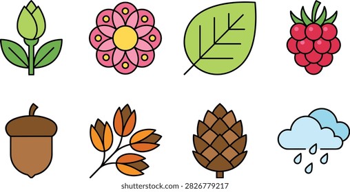 A colorful collection of simple nature elements featuring flowers, green leaves, raspberry, acorn, autumn foliage, pine cone, and a rainy cloud. Perfect for seasonal designs, children’s illustrations, educational materials, stickers, stationery, and decorative projects.