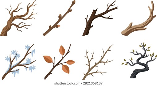 A colorful collection of stylized tree branches and twigs featuring bare wood, budding stems, autumn leaves, thorns, blossoms, and twisted forms. Suitable for botanical designs, seasonal artwork, nature education, packaging, posters, and decorative projects.
