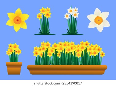 A colorful collection of yellow and white daffodil flowers in various arrangements, including single flowers, potted plants, and garden scenes. Ideal for spring themes and floral designs.