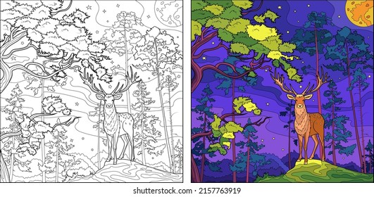 Farbiges Farbbuch. Hirsch im Wald. Vektorgrafik. Option in Linie und Farbe.