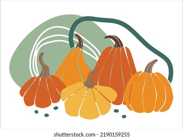 Colorful composition with pumpkins in modern style. Abstract background of autumn nature. Artistic natural banner design.