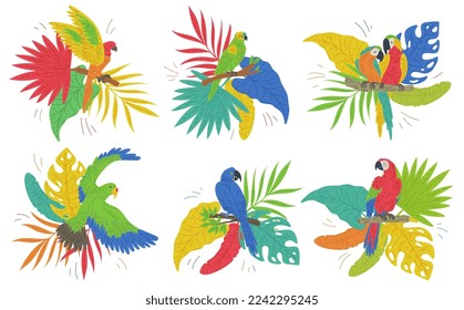 Colorful compositions set with parrot birds on tropical leaves in bright colors, flat vector illustration isolated on white background. Tropical wildlife birds stickers.