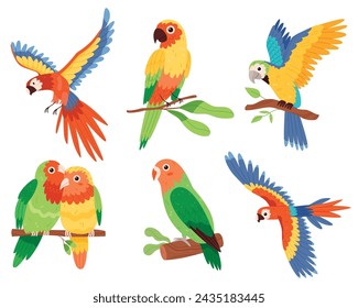 Composiciones coloridas con pájaros loro en hojas tropicales en colores brillantes. Estilo dibujado a mano