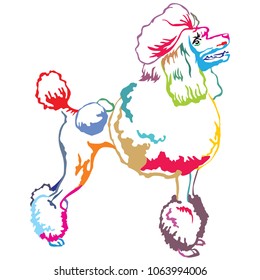 Colorful contour decorative portrait of standing in profile Poodle, vector isolated illustration on white background