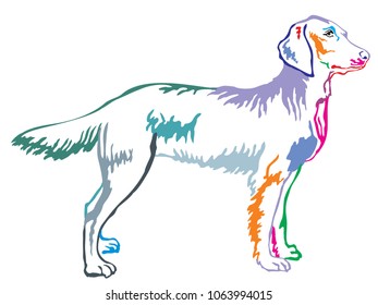 Colorful contour decorative portrait of standing in profile longhair Weimaraner, vector isolated illustration on white background