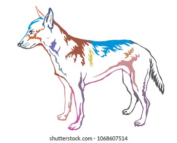 Colorful contour decorative portrait of standing in profile Belgian Shepherd Malinois, vector isolated illustration on white background