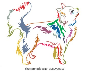 Colorful contour decorative portrait of standing in profile Longhaired Chihuahua, vector isolated illustration on white background