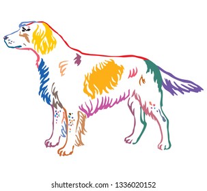 Colorful contour decorative portrait of standing in profile Small Munsterlander Dog, vector isolated illustration on white background