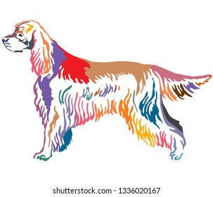 Colorful contour decorative portrait of standing in profile Gordon Setter Dog, vector isolated illustration on white background