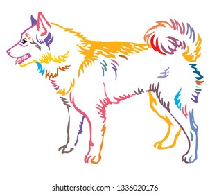 Colorful contour decorative portrait of standing in profile  Finnish Spitz Dog, vector isolated illustration on white background