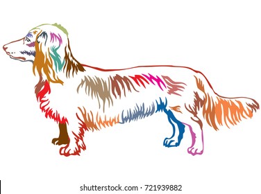 Colorful contour decorative portrait of standing in profile dog long-haired Dachshund, vector isolated illustration on white background