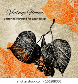 Colorful contrast stylized botanical vector illustration