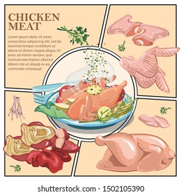 Colorful cooking composition with roasted chicken on plate and raw chicken thigh fillet wings feet liver heart vector illustration