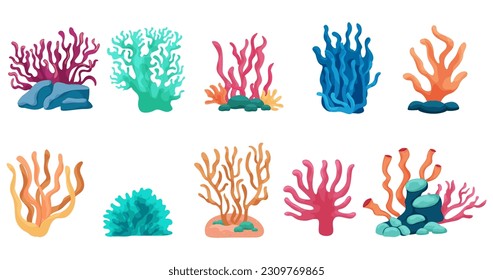 Colorful coral illustrations, illustrations reminiscent of carefree summer vacation, sea, ocean, underwater beautiful corals