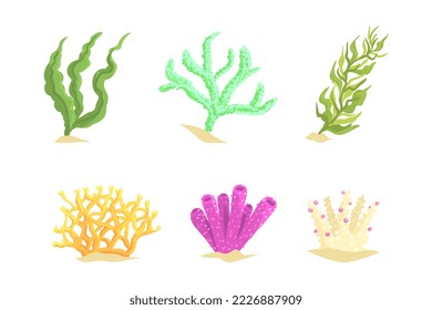 Colorful Coral as Marine Growing Flora from Ocean Bottom Vector Set