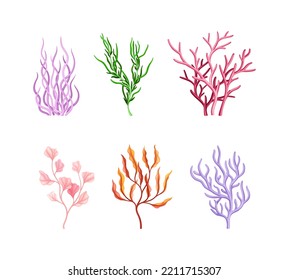 Colorful Coral as Marine Invertebrate from Ocean Bottom Vector Set