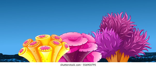 Colorful coral reef underwater illustration