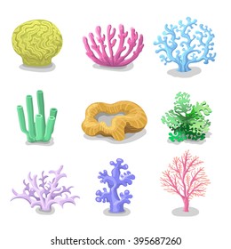 Colorful corals, Reef nature marine  Vector underwater flora, fauna.