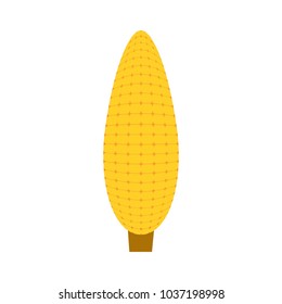 colorful  corn over white background  vector illustration