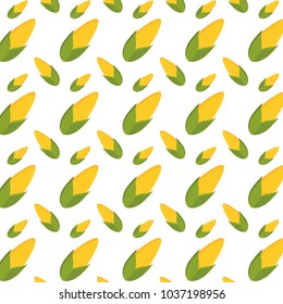 colorful  corn pattern over white background  vector illustration