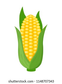 Colorful corn vector illustration isolated on white background.