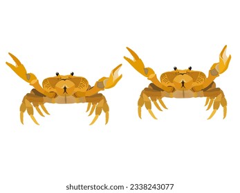 Colorful crabs on a white background.