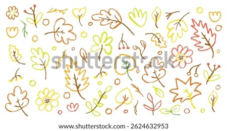 Colorful crayon autumn vector set with leaves, forest berry and raindrops on white blackboard perfect for children, kindergarten crafts, back to school seasonal designs and educational materials.