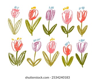 Colorful crayon drawn tulip flower collection. Hand drawn doodle flowers with stems and leaves. Vector ink illustration. Crayon drawn doodle botanical collection. Naive sketch kid's plants.