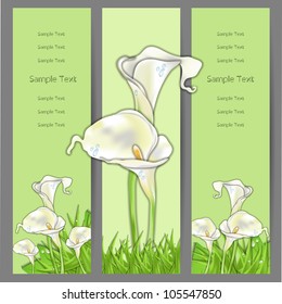Colorful creative modern abstract nature 3d vector banner set with flower pattern