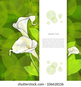 Colorful creative modern nature reality vector background with kala flower
