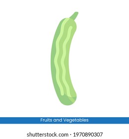 Colorful Cucumber icon vector design. Fruits and Vegetables symbol for your website design, logo, app, UI. Eps10 vector illustration.
