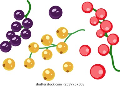Colorful Currant Berries Illustration, Fruit Clipart, Food Graphic